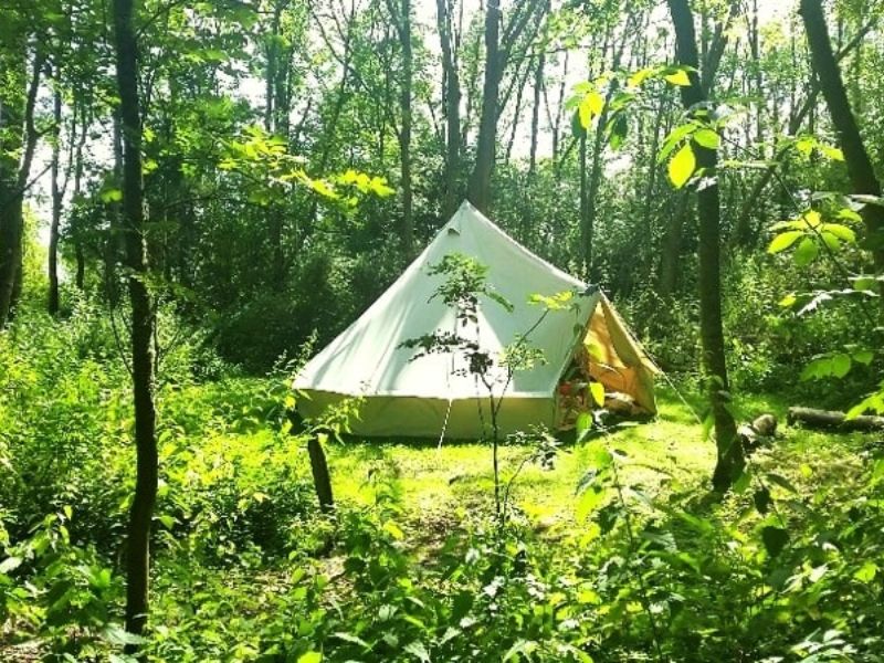 cắm trại ở rừng cần chú ý gì