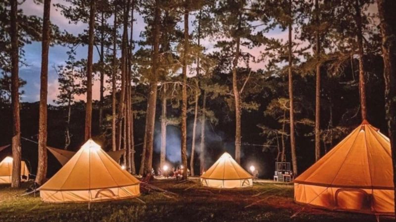 cắm trại ở rừng cần chú ý gì